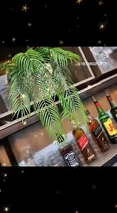 4.4K views · 68 reactions | Hart❤️Mark in Hartbeespoort cannot wait...