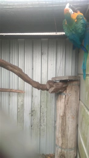 Jessica Davis on Reels