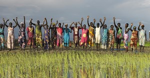 Putting Flood Waters to Good Use: Growing Rice in South Sudan | Action Against Hunger