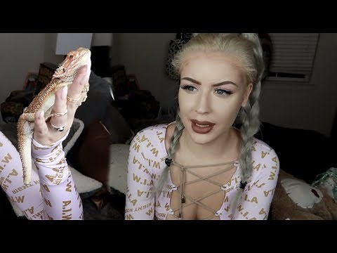 My Bearded Dragon Had an Amputation?!