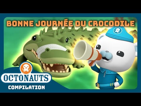 Octonauts - 🐊 Bonne journée du crocodile ! 🤗 | Compilation | Dessins animés pour enfants