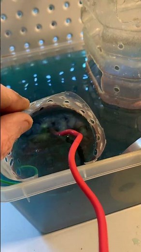 Silver Solder Separation: Refining Copper with Ammonium Persulfate