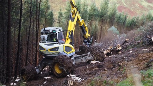 How this giant machine clears trees on steep forest ground