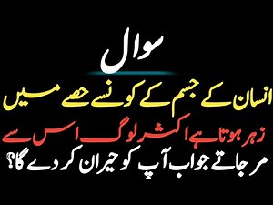 Learn Islam Deeply | Islamic General Knowledge Questions and Answers"