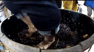 The Great Grape Stomp at the PA Farm Show