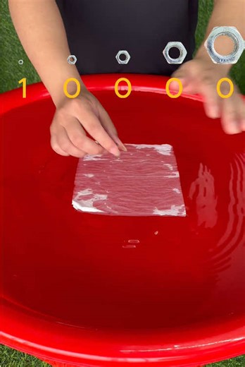 Toilet Experiment: Flushing Challenge with ASMR