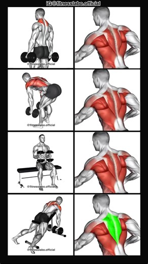 Effective Dumbbell Back Workout Routine