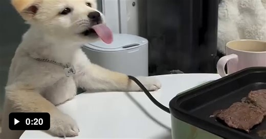 When you’re on a diet, but someone makes your favorite food. - Video