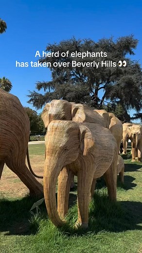 A herd of life-size elephants has arrived in Beverly Hills 🐘✨ This stunning and FREE art exhibit is open to the public for a limited time | Secret Los Angeles