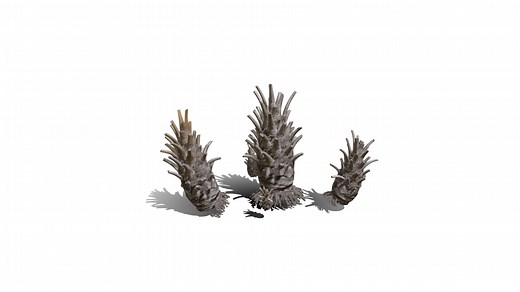 Realistic HD Date palm (75/78) - Download Free 3D model by PlantCatalog