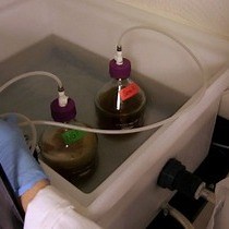 Video: Expression, Isolation, and Purification of Soluble and Insoluble Biotinylated Proteins for Nerve Tissue Regeneration