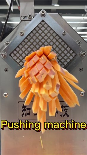 Efficient Food Striping Machine for Processing Vegetables