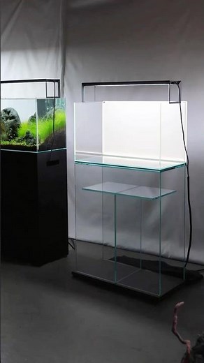 Full ADA 60P Aquarium Setup