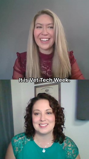 Happy #VetTechWeek to all the amazing #veterinarytechnician’s out there who are making a difference in the lives of pets and pet owners. Our Facebook Live with #PennFoster Clinical Coordinator Amber Sanna is now available to watch on our #Facebook page. Check out a snippet here, and then visit our #LinkInBio to watch the whole thing!🩺🐕🐾 #highered #highereducation #education #college #hsk #collegelife #collegeadmissions #student #elearning #edtech #admissions #studentlife #onlinelearning #stud
