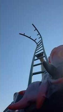 100% Wolf - die neue Achterbahn für die ganze Familie im Plopsaland Deutschland! 🐺