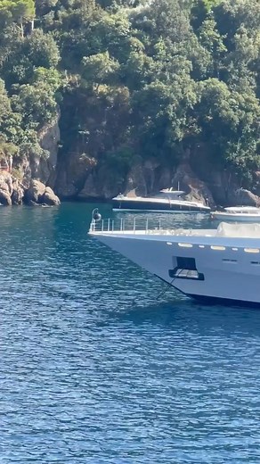 28K views · 614 reactions | ⚜️Video by: lord_ofthe_yacht ⚜️ Coral...