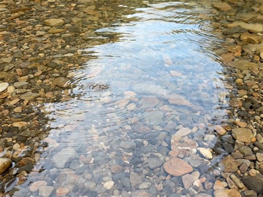 【温泉大好きP】 ゆきや温泉録 on Instagram: "2025年夏に訪問 【上湯温泉 大露天風呂 女湯】 ★★★★★（評価5/5） 施設名：上湯温泉 大露天風呂 女湯 場所 ：奈良県 十津川村 形態 ：源泉掛け流し 泉質 ：含硫黄ーﾅﾄﾘｳﾑー炭酸水素塩泉 特徴 ：十津川村の1番奥にある大露天風呂 備考 ：女湯は少し高い場所の洞窟風呂 大自然で日常を忘れよう！源泉掛け流し宣言！上湯温泉の大露天風呂を紹介♨️ 女湯は洞窟風呂となっており、男湯と川の景色を一望！ もちろん源泉掛け流しで熱めの硫黄泉を楽しめます！ ※評価は5段階で泉質や景観などを総合的に判断 #温泉 #onsen #温泉旅行 #温泉巡り #温泉ソムリエ #露天風呂 #源泉掛け流し #温泉好きな人と繋がりたい #混浴 #野湯 #旅館 #旅行 #travel #鄙びた #ひなびた #国内旅行 #japan #japantrip #奈良旅行 #奈良観光 #奈良温泉 #十津川村 #上湯温泉 #大露天風呂 #足下湧出 #炭酸泉 #貸切風呂 #氷瀑 #雪見風呂"