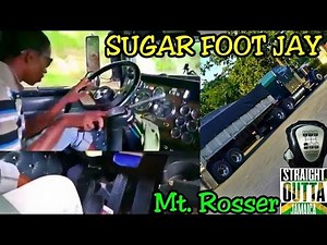 Sugar Foot JAY in the Hills - Smooth Hill Start - N14 Singing