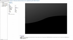 Windows 10 Business Editions Version 21H1 Updated Aug 2021 简体中文版 x64 安装
