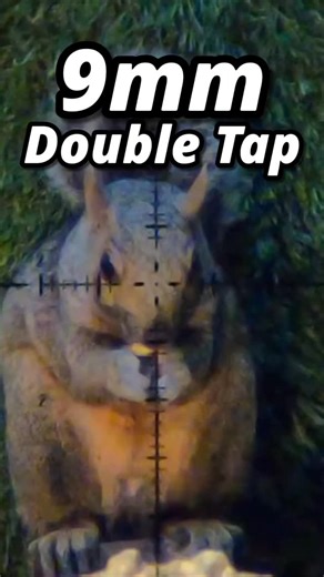 EDgun Leshiy on Instagram: "The perfect double tap... overkill, or good to be safe?"