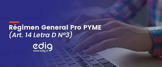 Régimen Pro Pyme General 14 D N° 3