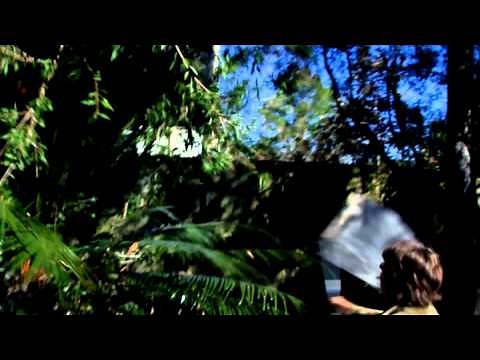 Insect Collection - Beating and Netting