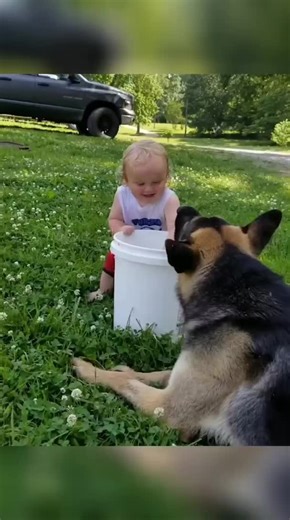 Engaging Child and Dog Playtime in the Park