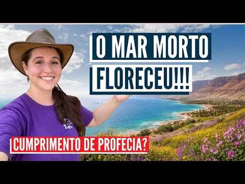 The desert is blooming in Israel! Israel with Aline