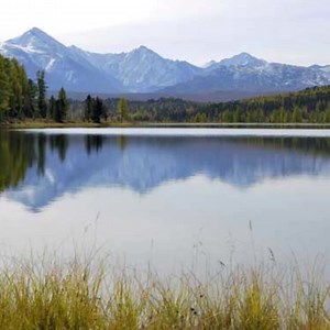 Le Lot de 4 Micropolaires à 19,95 € seulement ! 🚚 Livraison OFFERTE | Atlas For Men