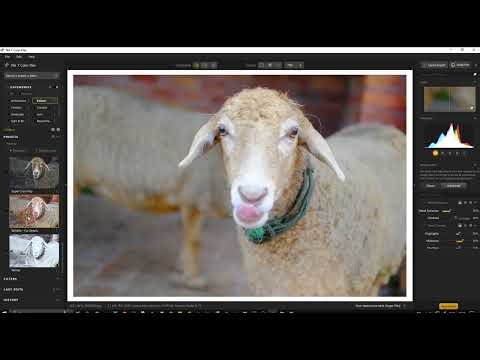 WILDLIFE FUR DETAILS Preset in DxO NIK Collection Color Efex and FILTER