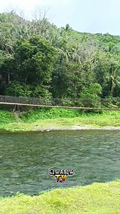 156K views · 4.3K reactions | Hanging bridge San Luis Aurora Biclat bridge San Luis Aurora Province | LiWaliwtv | Facebook