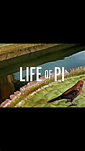 🎦 Movie:-Life of Pi. IMDb Rating: 7.9/10. Age Rating:PG