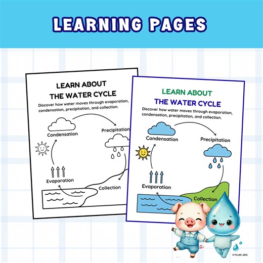 Water Cycle Diagram Worksheets | Learn, Label, and Draw the Water Cycle 蝹This resource includes learning pages, labeling practice, writing activities, and a drawing task, making science both visual and hands-on. https://www.teacherspayteachers.com/Product/Water-Cycle-Diagram-Worksheets-Learn-Label-and-Draw-the-Water-Cycle-14619331 #science #watercycle #worksheet #kid #thirdgraderesources #learningpages | P.A.Lek | Facebook