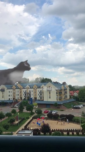 Na wasza prosbe 😄✌🏼W nastepny TT wracamy seriali/filmow - w 1 kolejnosci TWD 🧟‍♂️🧟 Piszcie co chcecie potem 😄 #fyp #foryou #dc #xyzbca