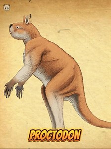 Animales Extintos por la Acción Humana: Proctodon