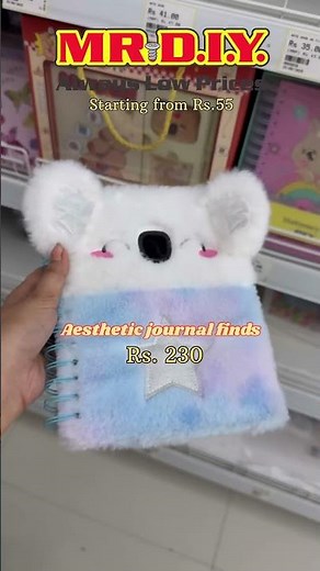 Mr. DIY aesthetic diary find! ✨