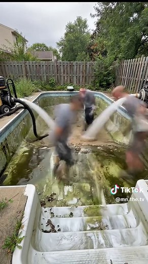 Transforming a Nasty Backyard Pool: Before and After