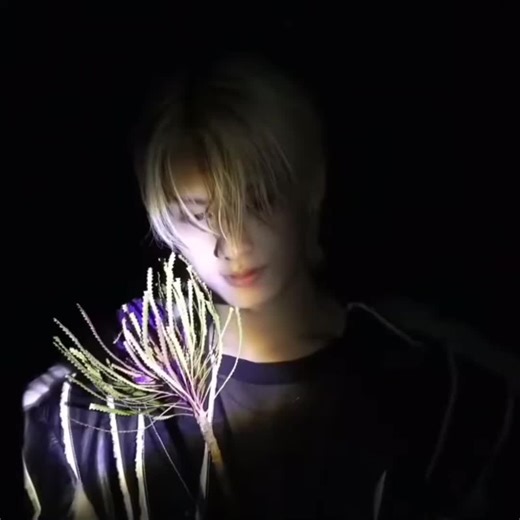 Ethereal You You're such a perfect view, when I first encountered you, your silent quiet soul evidently displaying, large sparkling eyes shining bright, you're so beautiful, ethereal you. You seem delicate, you are perfect, who are you, why do you exist in this imperfect world? With a personality so bright, how can I survive this light? You're so beautiful, ethereal. Field full of dianthus barbatus sitting near a tree, just observing you, a rose on top of your ear, how can you be so perfect in m