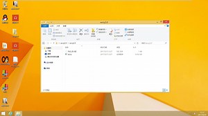 WannaCry和000.exe试玩