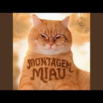 Montagem Miau
