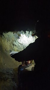 92 reactions |  Dominate the dark. Don't call it quits at night, the...