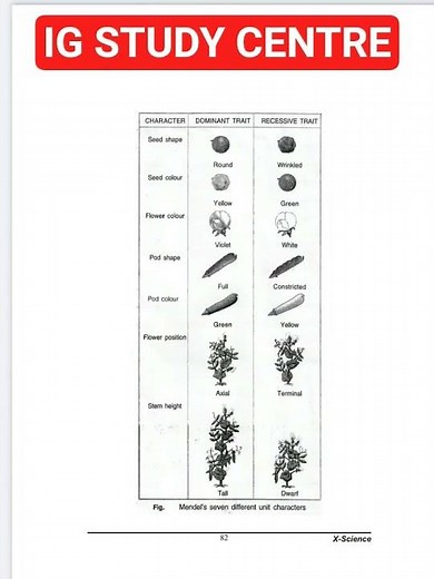 Class 10 Science Heredity and Evolution Notes Full Chapter According to CBSE #igstudycentre