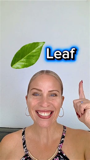 🍁 Leaf vs Leave | Hear the Difference? | American English