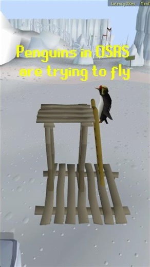 The Penguins in OSRS are trying to find ways to fly #osrs #osrsshorts