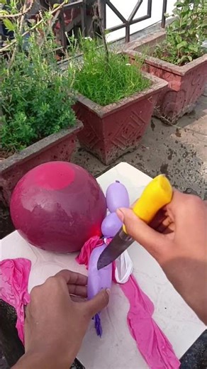 butterfly ballon 🦋#amazing#wow#butterflyballon#pop ballon #ballon game #fun #ASMR