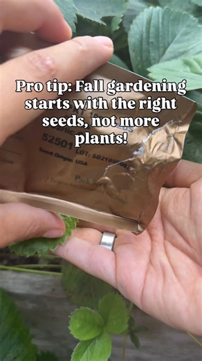61K views · 125 reactions | Fall gardening isn’t just a second...