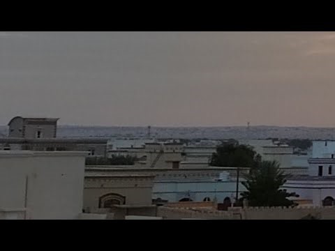 Single lady is live! Livestream #livestream #omanlive #nightlive #muscat