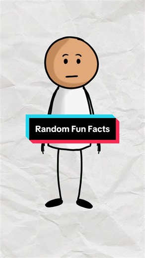 Interesting Random Fun Facts You Didn't Know