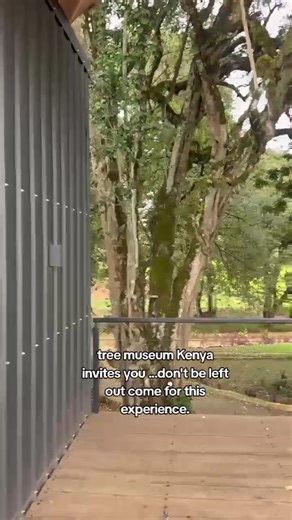 Explore the Beauty of Indigenous Trees at Our Farm