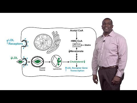 Russell DeBose-Boyd (UTSW) 1: Feedback Regulation of HMG CoA Reductase